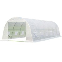 white PE plastic tunnel greenhouse 8x3x2m